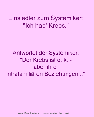 einsiedler zum systemiker